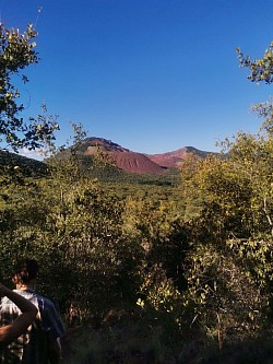 Hiking