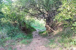 Hiking trails